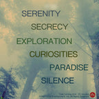 "Soundscapes" Lossless Audio (Digital Download)